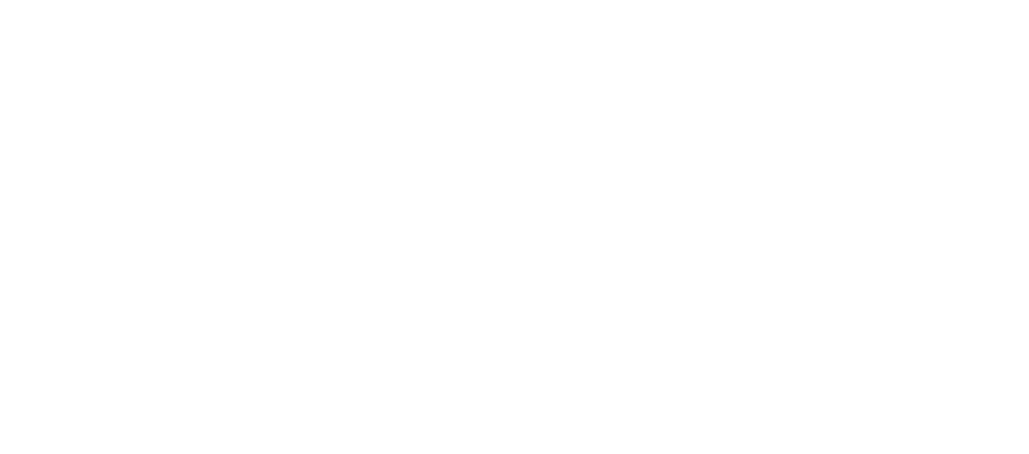 BonVie