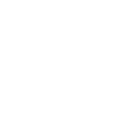 Icon-Stethoscope